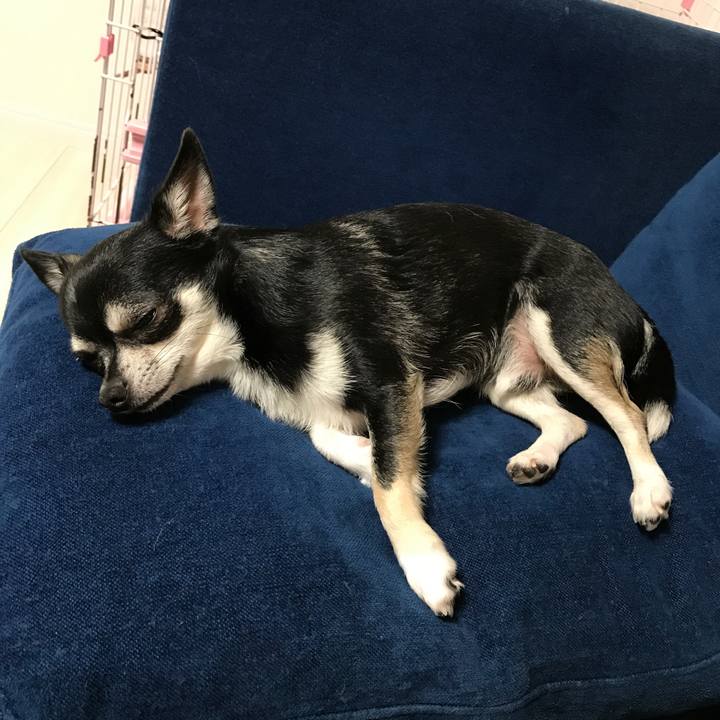 5ad74a0a 8ef6 46eb a985 522a301c842c