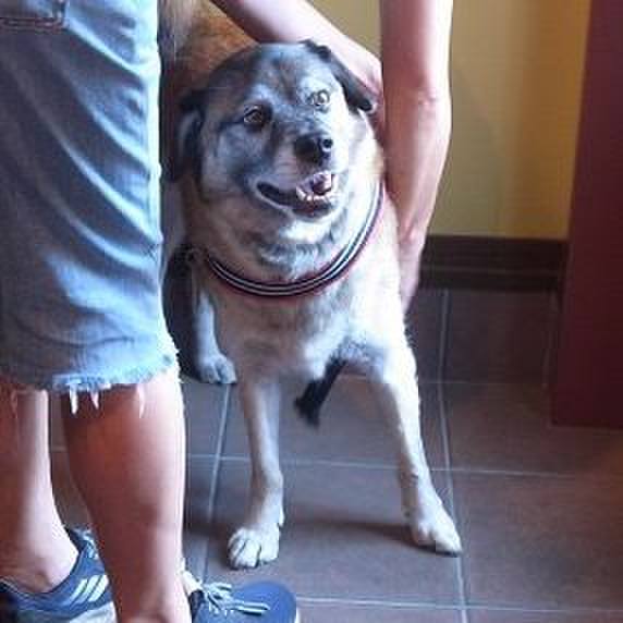 5ad78416 11af 4ed3 8d0c fae105591e38