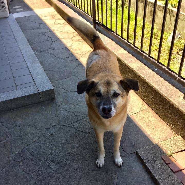 5ad78493 f8fe 4aa2 aebe c00b6facf6a7