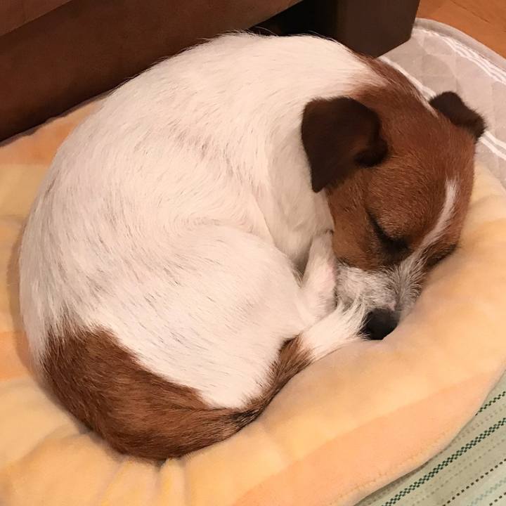 5ad793b0 e760 461c bd86 a3061e5bbb83