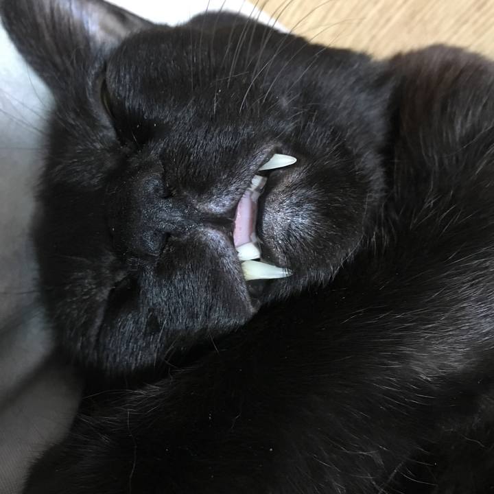 5ad87ba7 1027 437d 9e37 1583c53af6fd