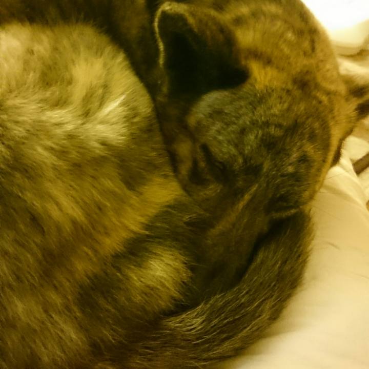 5ad9808f 9c65 4541 b5b6 f032c127aef9