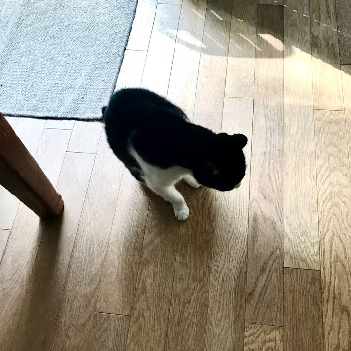 5ad993ab a43b 4421 9b6b 3397c9c18daf