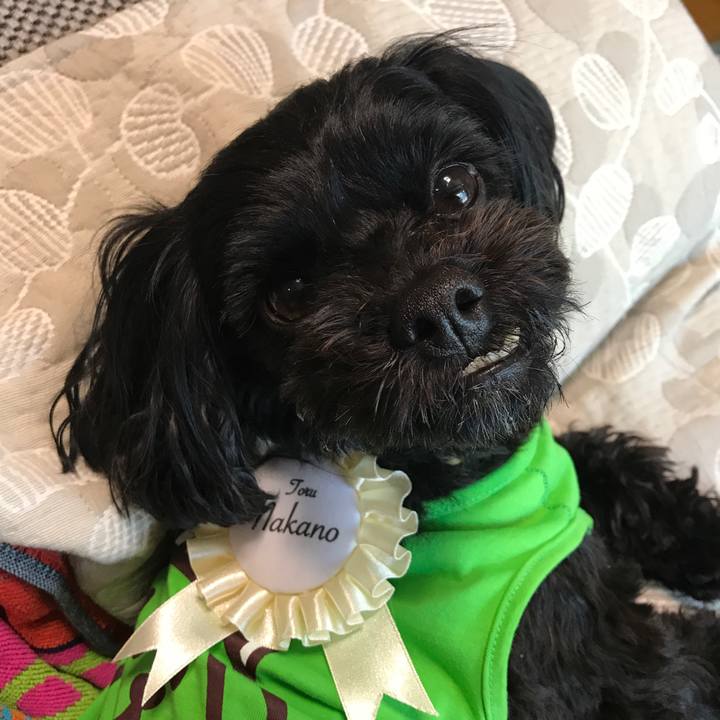 5adaa734 b913 49cf a90f acaac9cab2e8