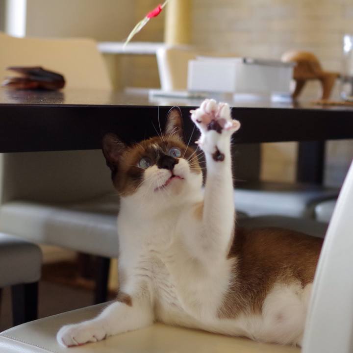 5adb427b 3397 4352 8bbd f2835b3a5b10