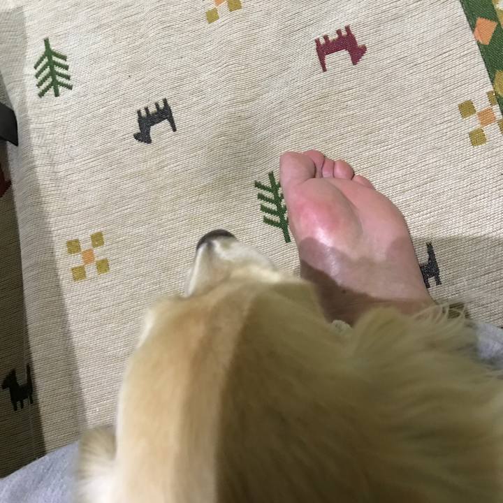 5adb4be1 95fa 4a78 b473 1cd4f624bf48