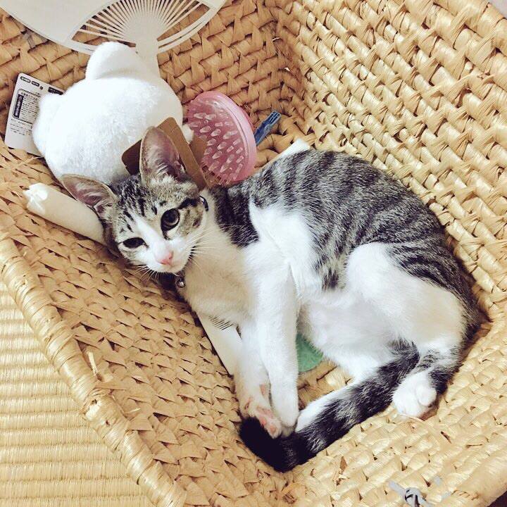 5adbae6c 5e4c 4587 ad0f 9cca75d530de