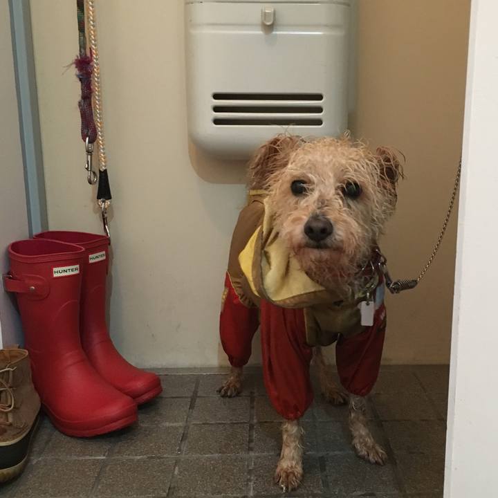 5adbe9d3 a2f6 4816 9160 de9f9f790c0d