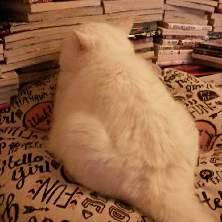 5adc2535 db4b 45e1 9694 cca09ed9f175