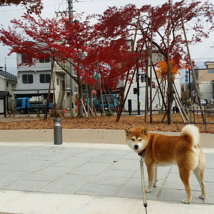 5adc5428 788c 45aa b6fc f0123184b7b8