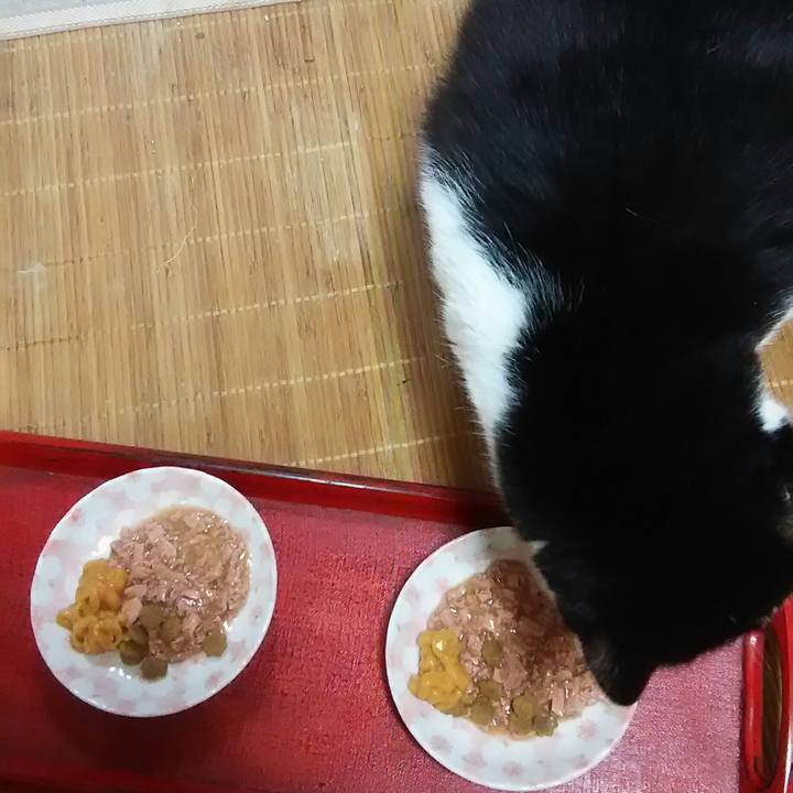 5adc8738 a796 4f36 a2fb f1e8cc15793b