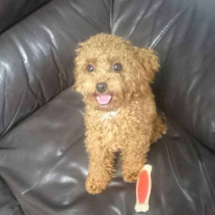 5adce3e7 a33d 4560 8184 c83c3e6e878b