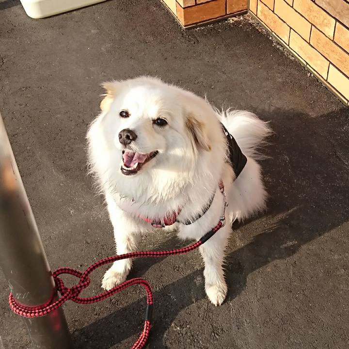 5addbdc3 c1a4 4d23 b0d5 82784e82851c