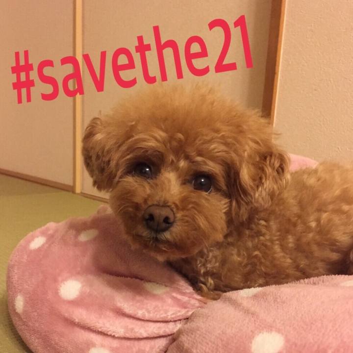 5ade07cf 9e64 419a a5df f6e946c7b1ea