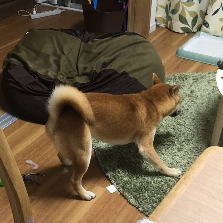 5adeae80 9197 4d8d a370 877563b38f0e