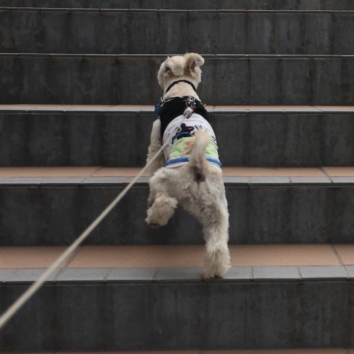 5adecc3a 1c14 4cfa 9ea5 8d017678e7e5