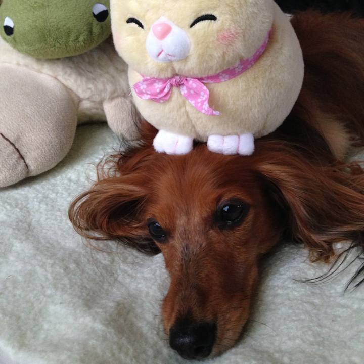 5adf38f1 b510 4490 b64b 645b9fd76c2c