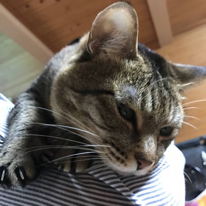 5adf809b c282 411b a2c5 0b2ed2599662