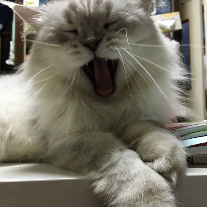 5adfa426 9807 4a8c 8fbb 4ee767c87f05