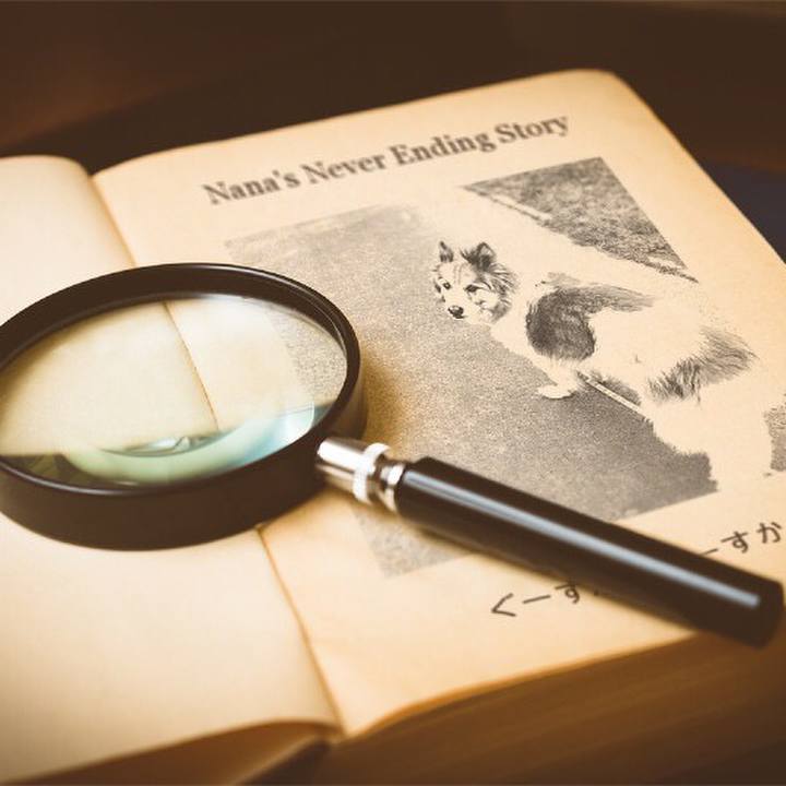 5adfb85c c677 49bd 9bf2 1ece9a0f1025