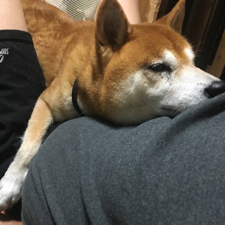 5adfc7a3 f5a7 492b 8569 c90f18b6131f