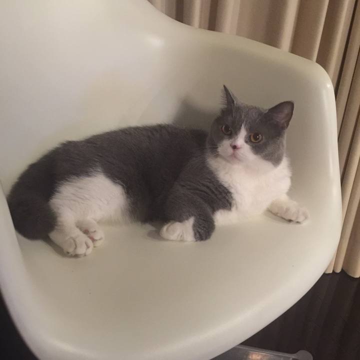 5ae05431 2f2f 4d1c 879e ecba663a5d23