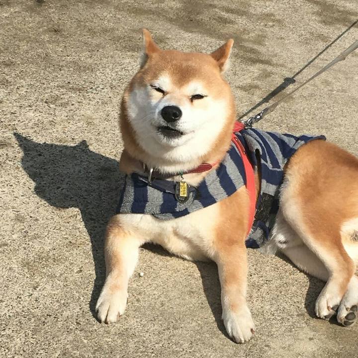 5ae06519 14d4 41a2 98a8 15a0b1eff350