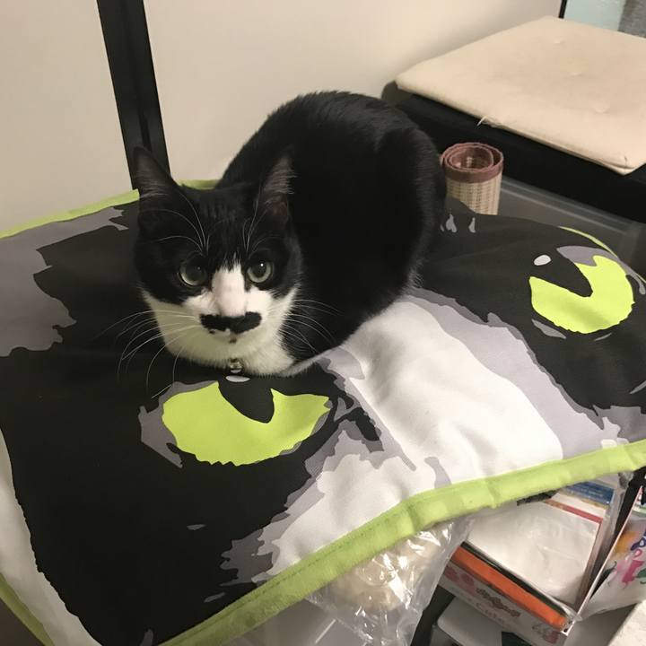 5ae0b992 b6f4 4796 b917 ed553302a7e6