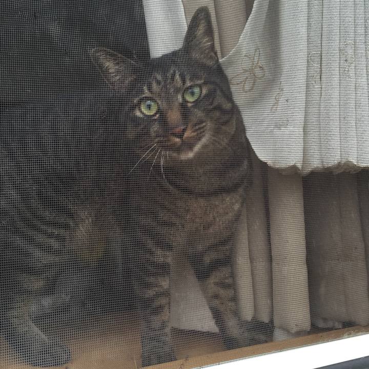 5ae25a39 3506 4b54 b211 77ad17ad7d69