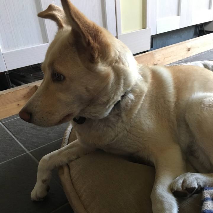 5ae29520 fc05 4d38 9f1d e9651c1620a7