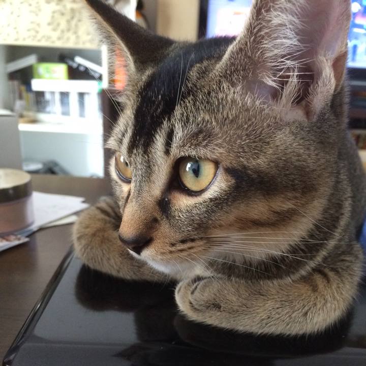 5ae2d614 c006 417d 9be5 fff166cdf87a