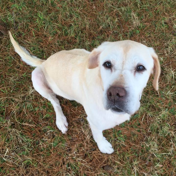 5ae3a2b3 b256 4272 b6eb 49e7b8ce6596