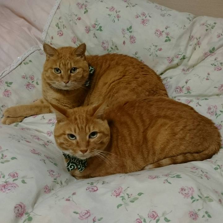 5ae3c298 3da4 4dff 8e12 2b08064ac9ee