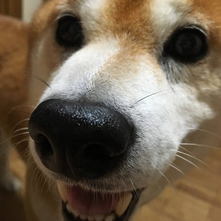 5ae3fc1f 1836 4e1d bb0e 13ecb89fc047