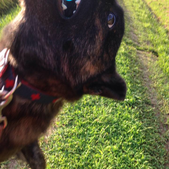 5ae49583 312e 4e17 b754 1120e754e1b6