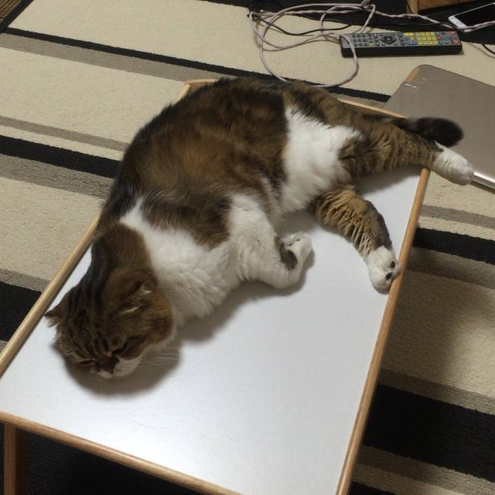 5ae536b0 10c0 4549 a6a4 f004531ef9d6