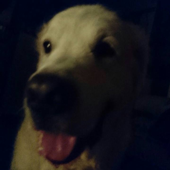 5ae54225 e538 4e77 b7f6 98f8f5aadf08