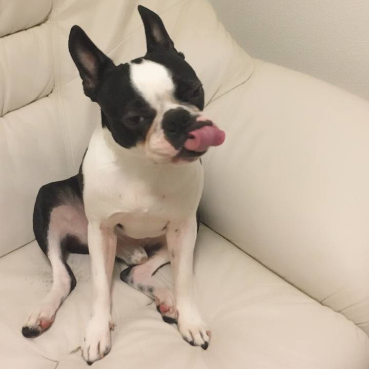 5ae572d4 5acc 4d5c 9d45 231066c0368f