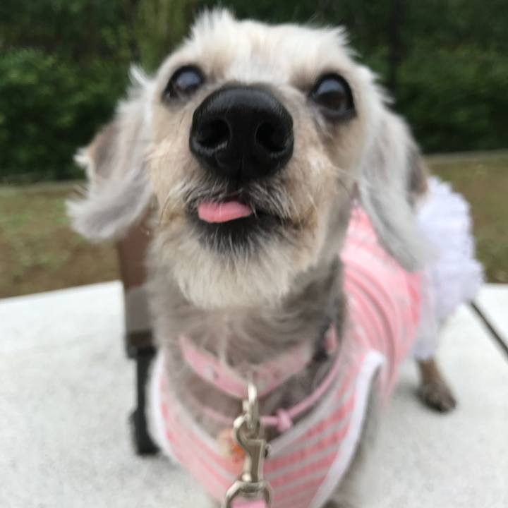 5ae58e17 f288 43a5 9579 ab9598589048