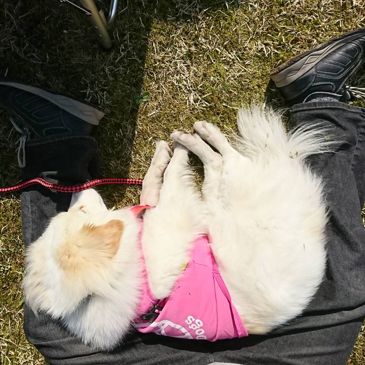 5ae5bb30 cb5c 4768 a6b3 68c3e644913e