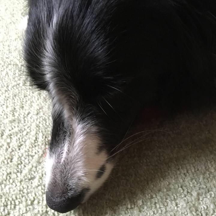 5ae61b68 ebed 4a7f 9fd6 132c5c805be8