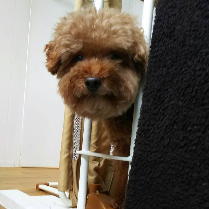 5ae6e176 f77e 4b77 8057 e31b3abb6f66