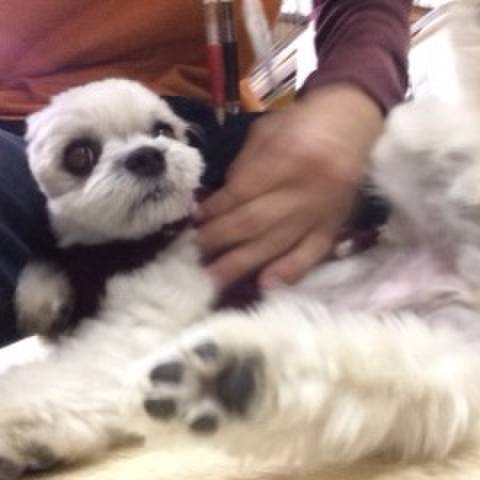 5ae73173 a1fd 428c 8d86 e34e5d89a78d