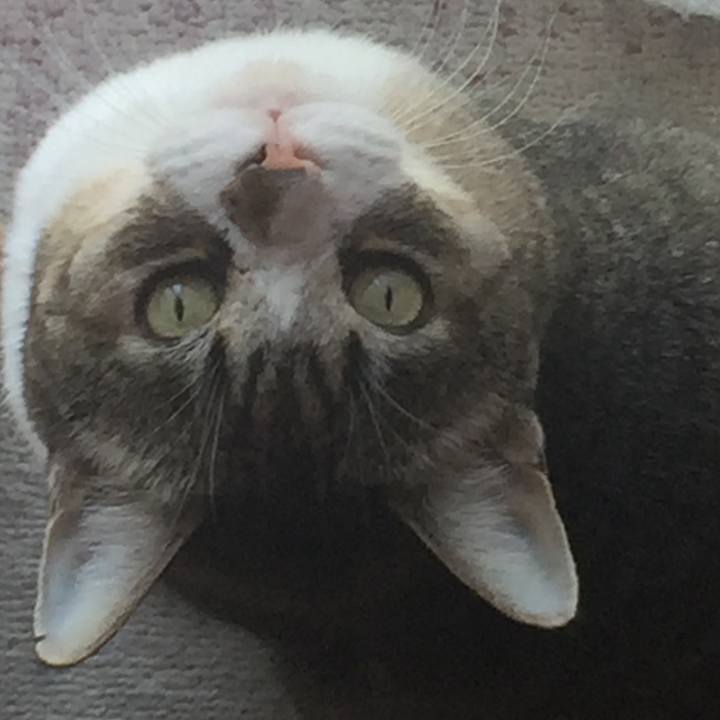 5ae7651f 604c 42f3 aa41 b7d94cd3b4fb