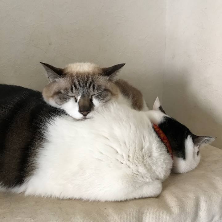 5ae7b71d 5ca7 4ec1 9afd acd0e00947d7