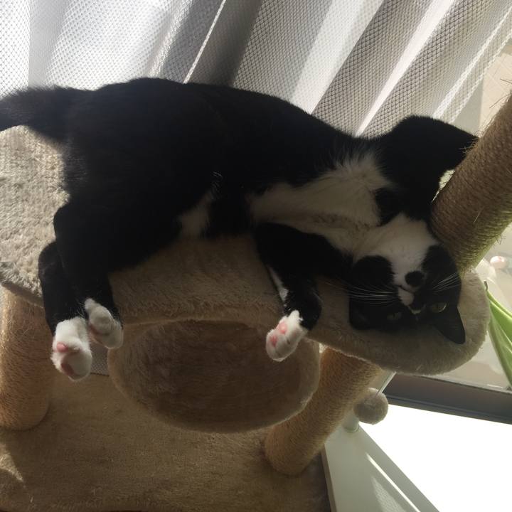 5ae83a9d 31e5 4a65 85ed c7efc54d92e5