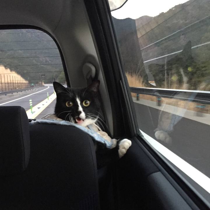 5ae8d615 7c3b 47c9 90dd 7423f4ae34b7