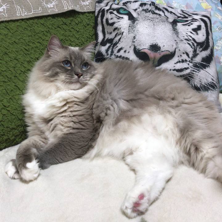 5ae9242c e38c 4431 8c7d df75c923ec05