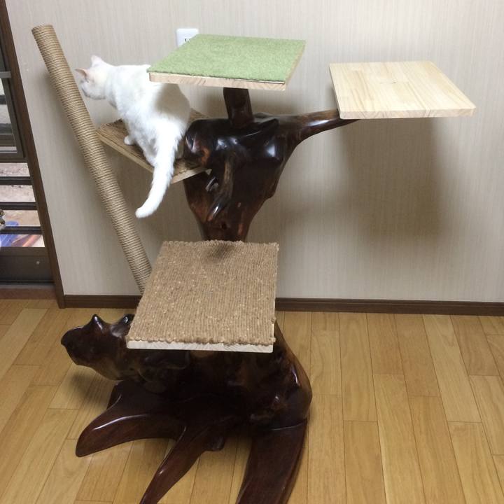 5ae9350e 360e 47f6 8560 607b3dbdf790