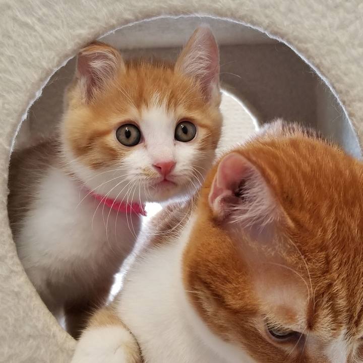 5ae9f2dc 1067 4296 9130 abf2e5965d19